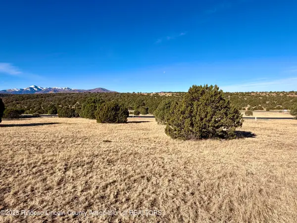 111 Rainmakers Drive, Alto, NM 88312