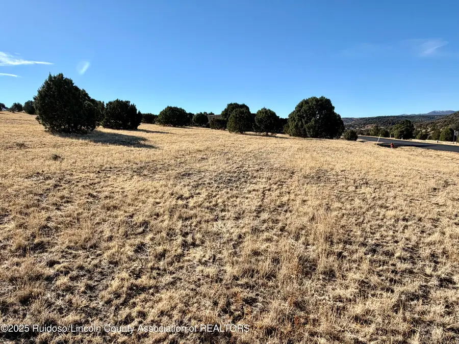 111 Rainmakers Drive, Alto, NM 88312 - Image #3