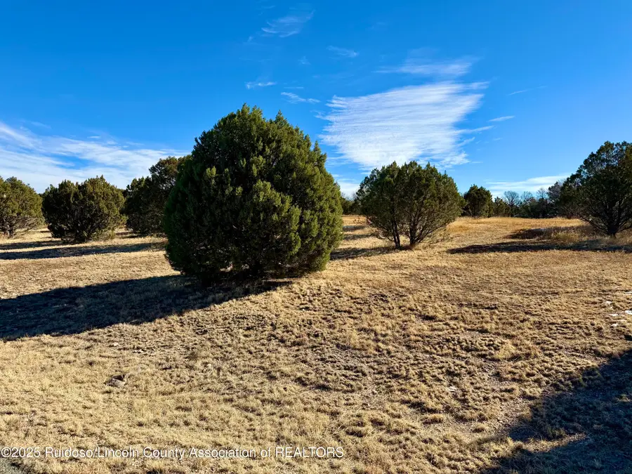 103 Cochiti Ct., Alto, NM 88312 - Image #2