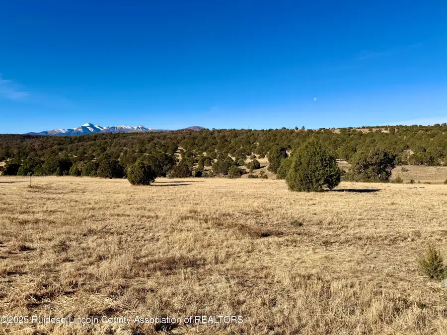 118 Rainmaker Drive, Alto, NM 88312 - Image #2