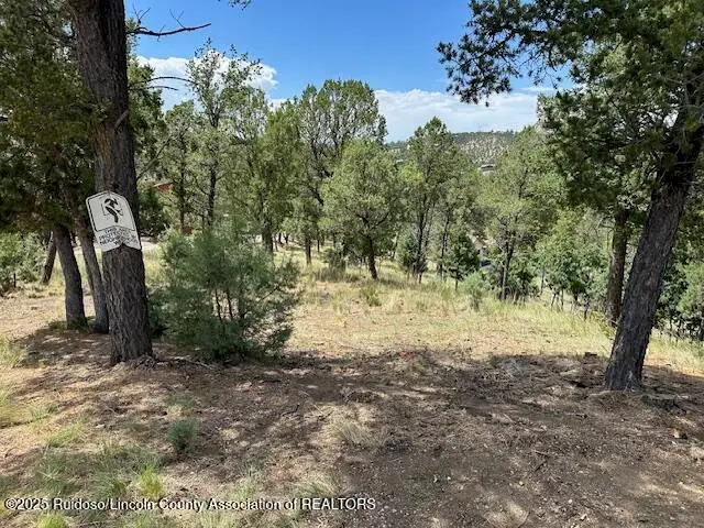 317 Granite Drive, Ruidoso, NM 88345 - Image #1