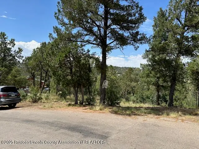 317 Granite Drive, Ruidoso, NM 88345 - Image #3