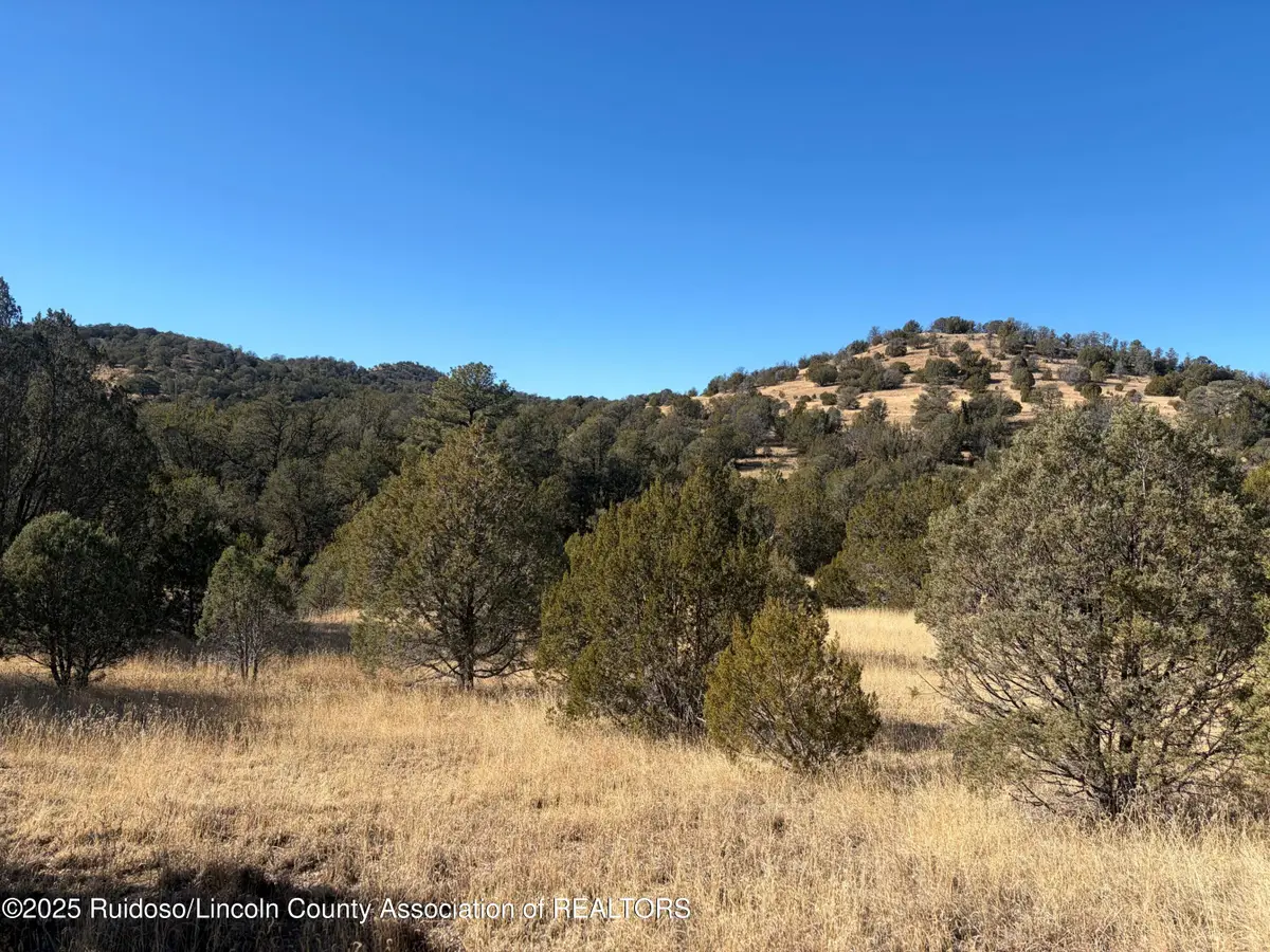 Lot 110 Rio Chama Drive, Alto, NM 88312 - Image #1