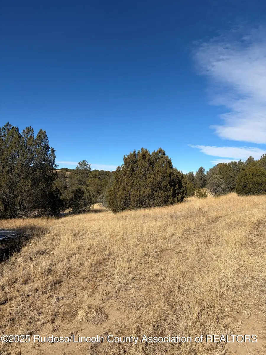 Lot 110 Rio Chama Drive, Alto, NM 88312 - Image #2