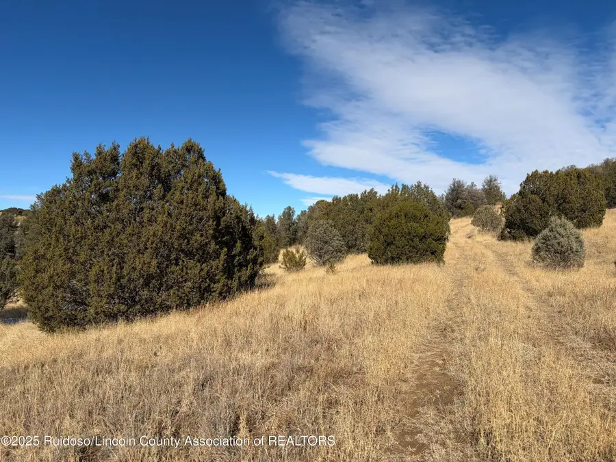 Lot 110 Rio Chama Drive, Alto, NM 88312 - Image #3