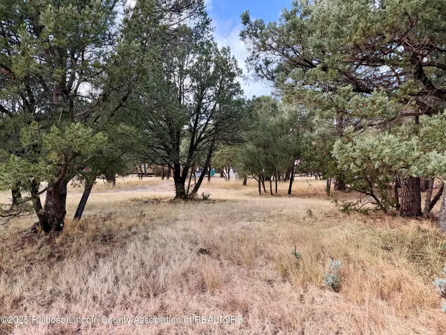 109 Mira Monte, Alto, NM 88312 - Image #2