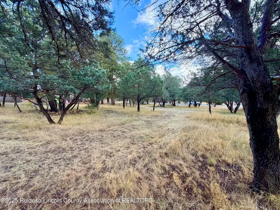 109 Mira Monte, Alto, NM 88312 - Image #3