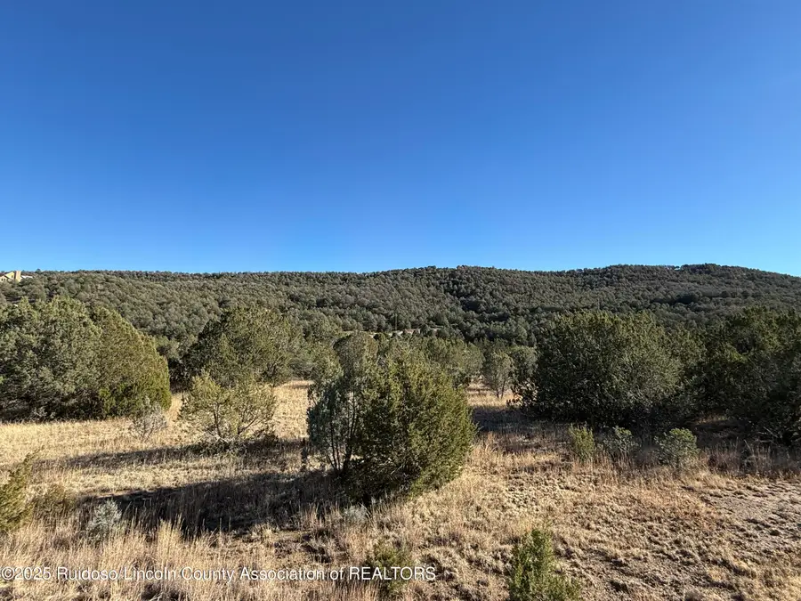 LT. 274 Paseo De Aguayo, Alto, NM 88312 - Image #2