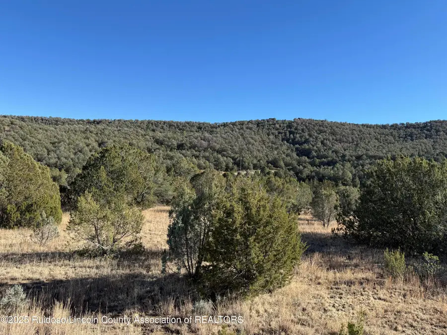 LT. 274 Paseo De Aguayo, Alto, NM 88312 - Image #3