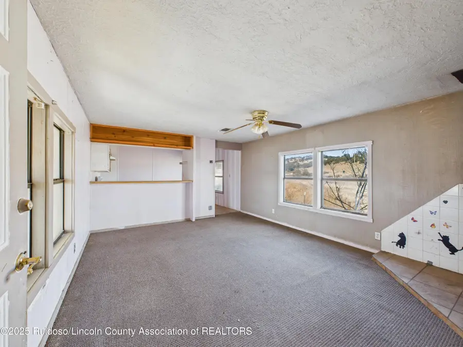 109 Salado Drive, Capitan, NM 88316 - Image #3