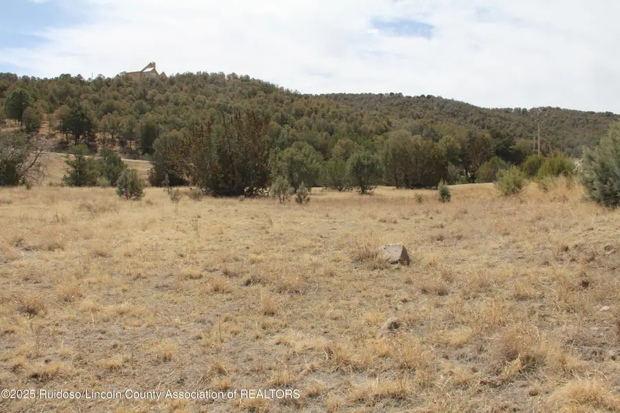 375&376 Santiago Circle, Alto, NM 88312 - Image #3