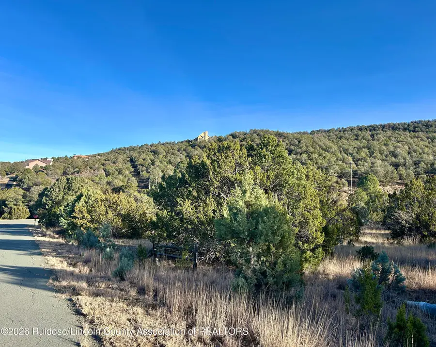 273 Santiago Circle, Alto, NM 88312 - Image #3