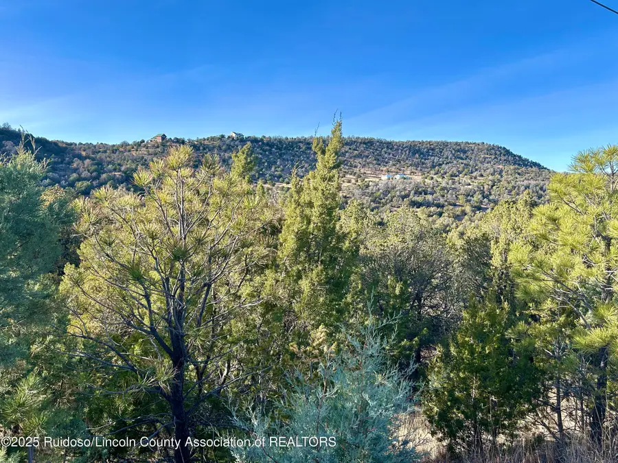 Lot 268 Santiago Circle, Alto, NM 88312 - Image #2