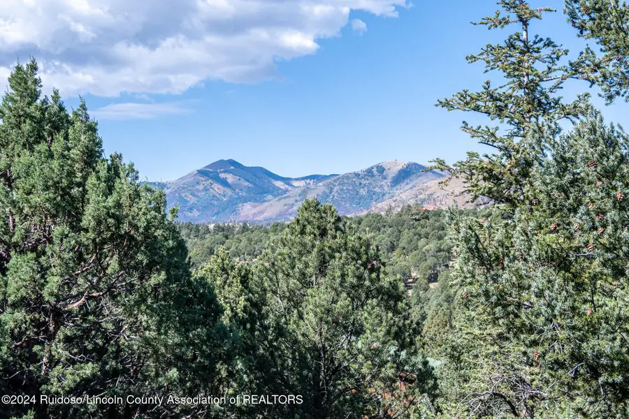 120 Rose Wood Trail, Alto, NM 88312 - Image #3