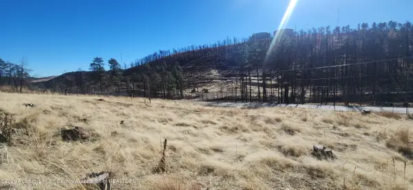 916 Gavilan Canyon Road, Ruidoso, NM 88345