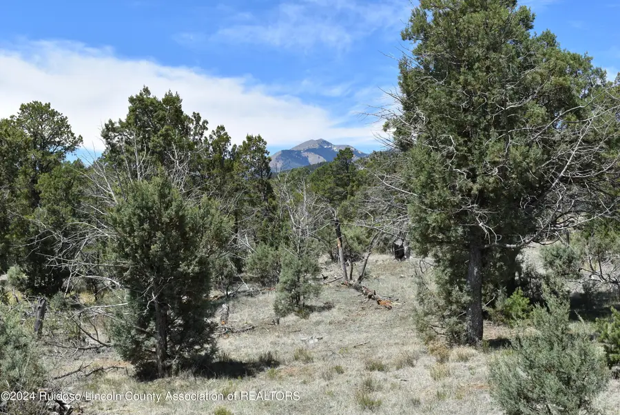 Tract 1&3 Silver Fox Lane, Alto, NM 88312 - Image #3