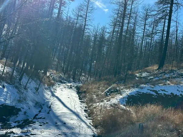 155 Jarratt Lp, Ruidoso, NM 88345