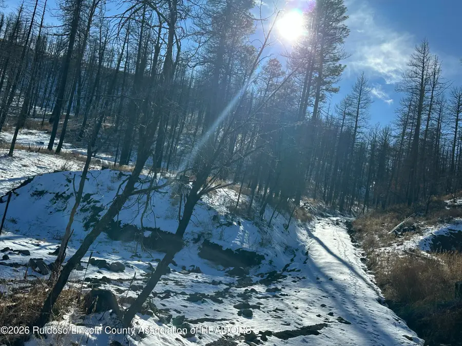 155 Jarratt Lp, Ruidoso, NM 88345 - Image #2