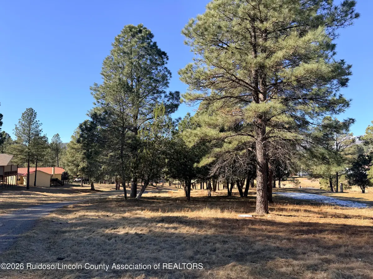 101 Bogie Lane, Ruidoso, NM 88345 - Image #1