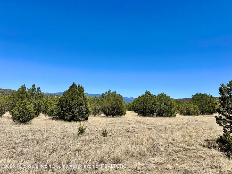 L 327 Las Estrelas, Alto, NM 88312 - Image #2
