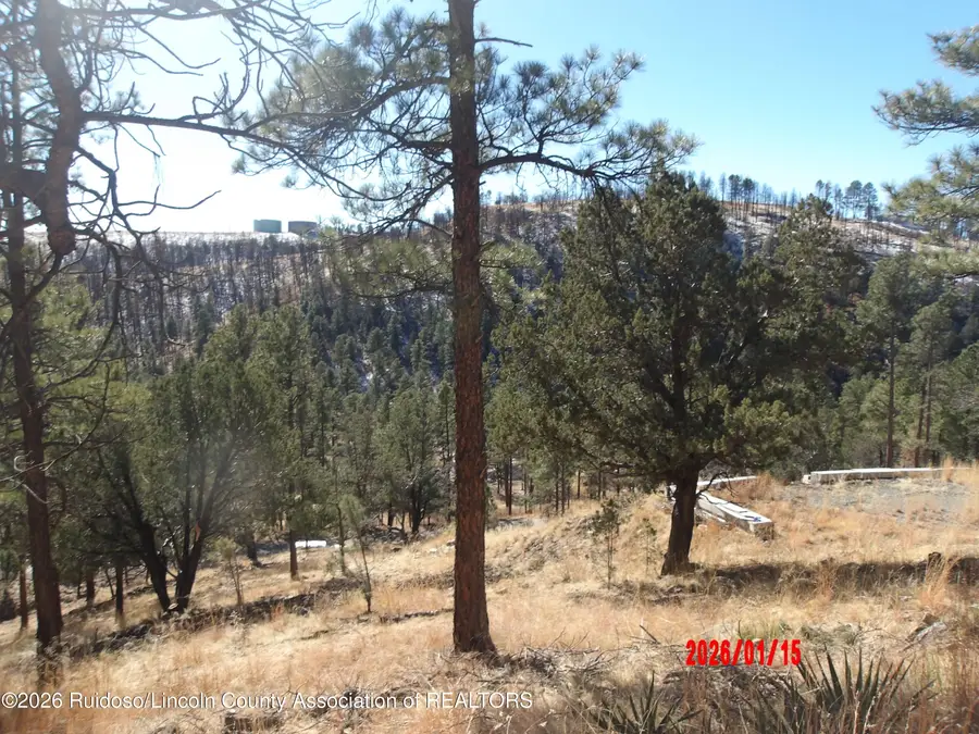 Lot 77-78 Lake Shore Drive, Alto, NM 88312 - Image #2