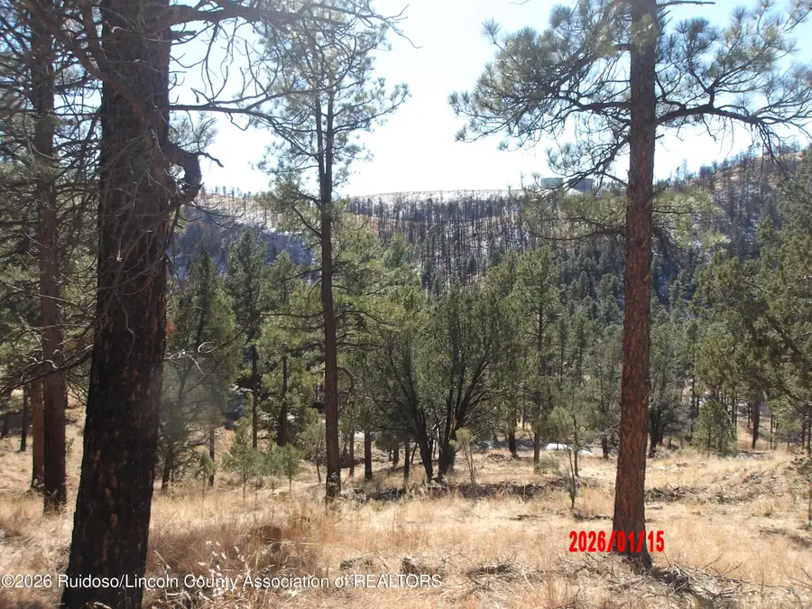 Lot 77-78 Lake Shore Drive, Alto, NM 88312 - Image #3
