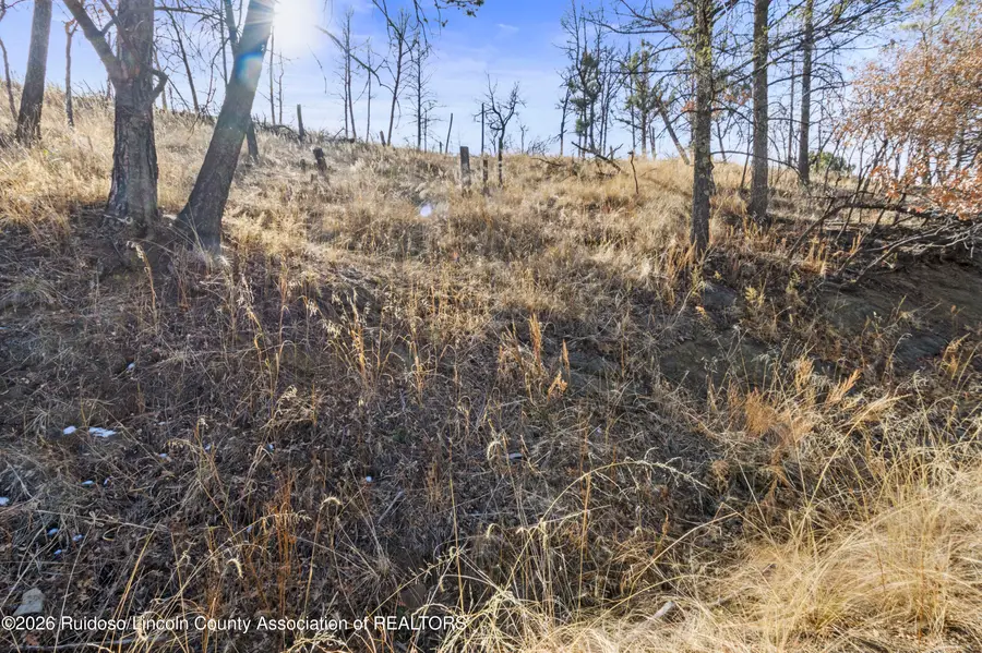 115 Cibola Circle, Ruidoso, NM 88345 - Image #3