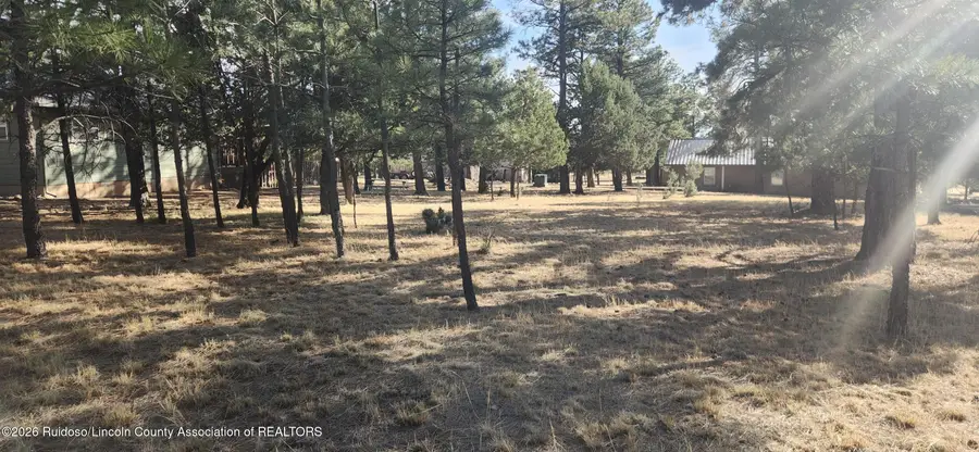 122 Mira Monte Road, Alto, NM 88312 - Image #3