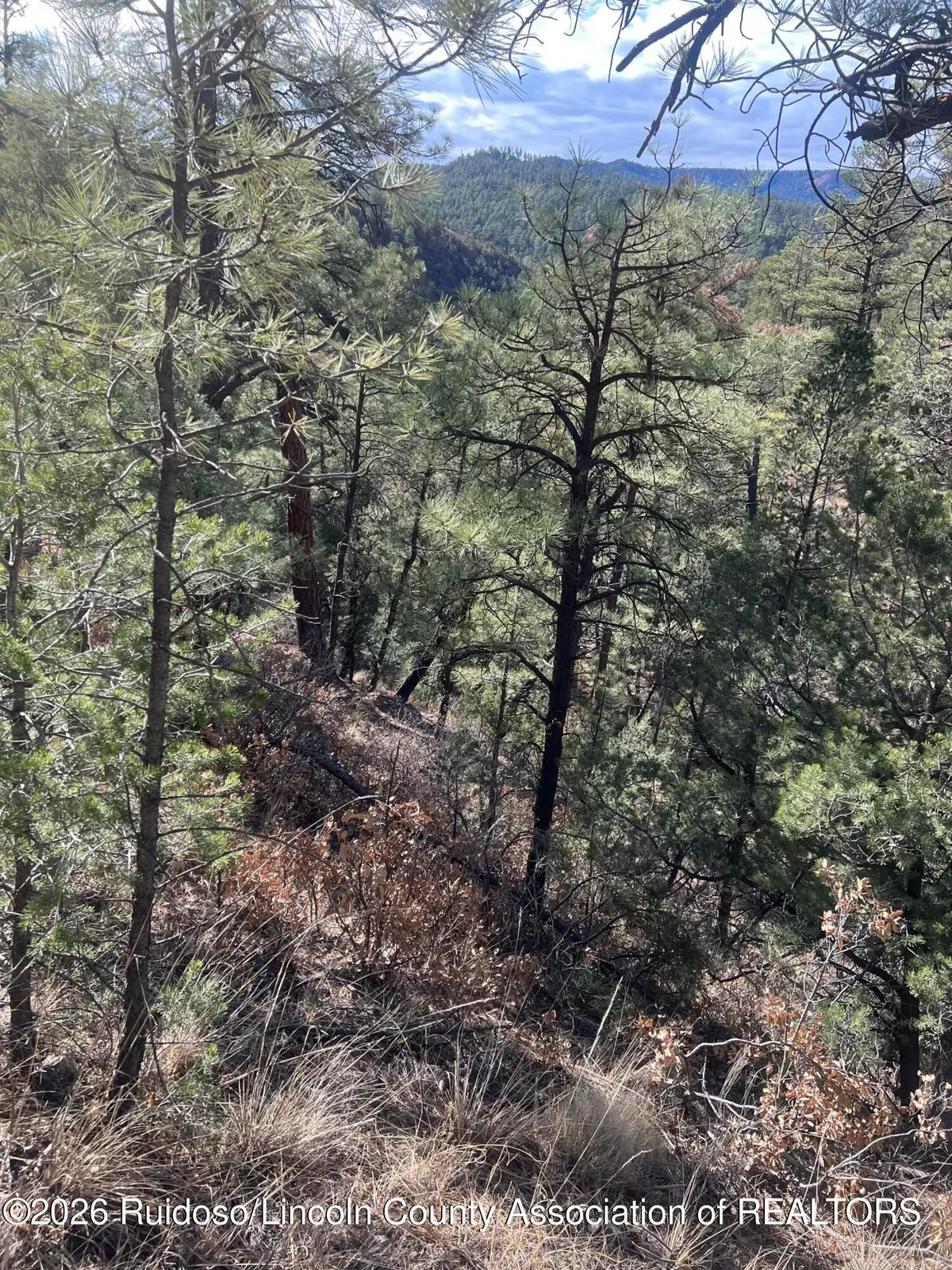 - Gresswell Road, Ruidoso, NM 88345 - #1
