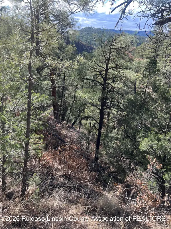 - Gresswell Road, Ruidoso, NM 88345