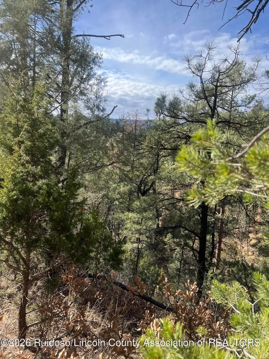 - Gresswell Road, Ruidoso, NM 88345 - #2