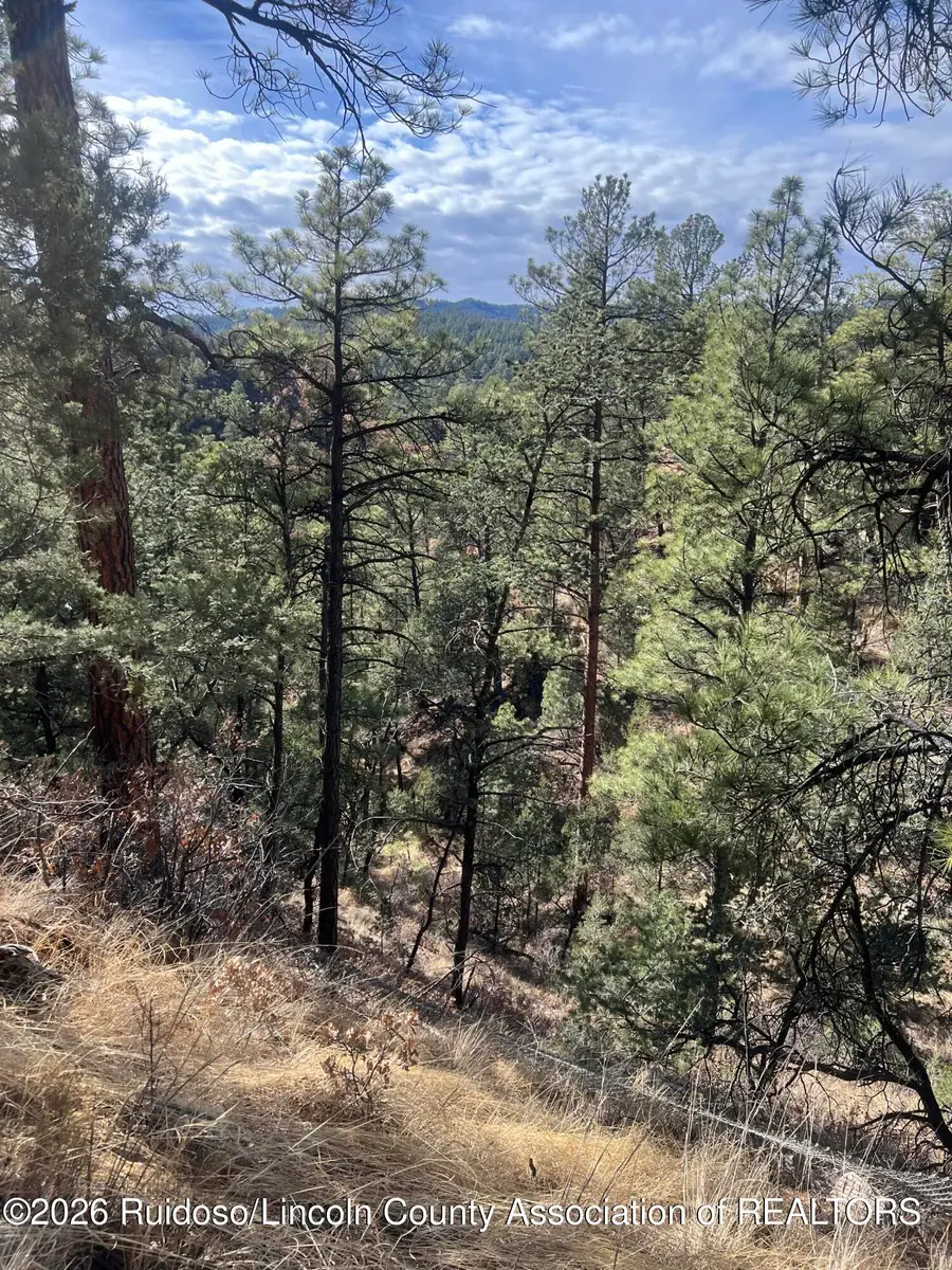 - Gresswell Road, Ruidoso, NM 88345 - #3