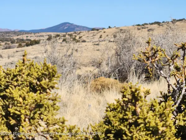 Lot 175 Windmill Road, Carrizozo, NM 88301