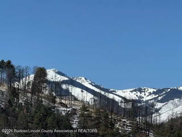 302 Lake Shore Drive, Alto, NM 88312 - #2