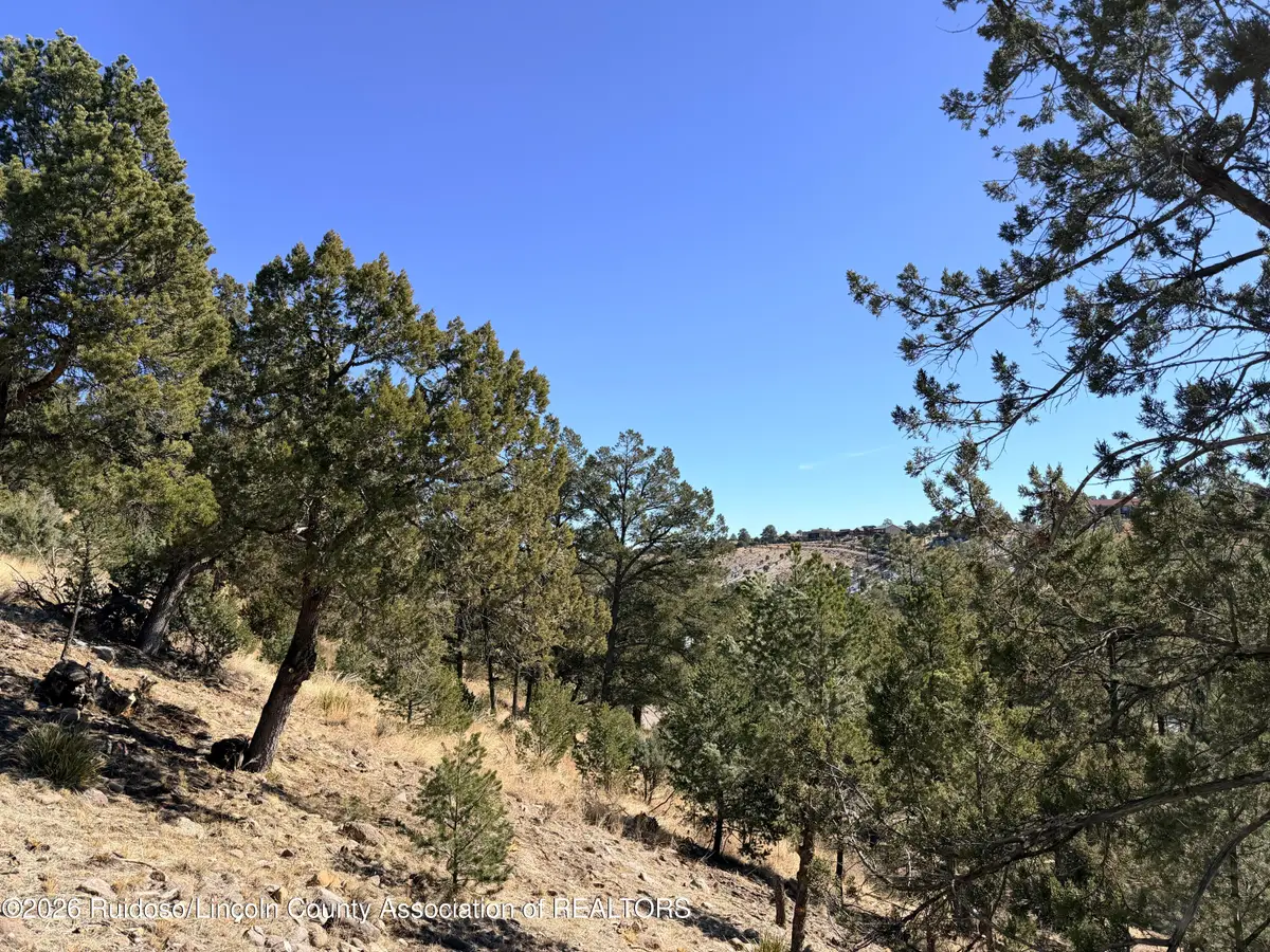 Lot T43C Bobcat Trail, Alto, NM 88312 - #1