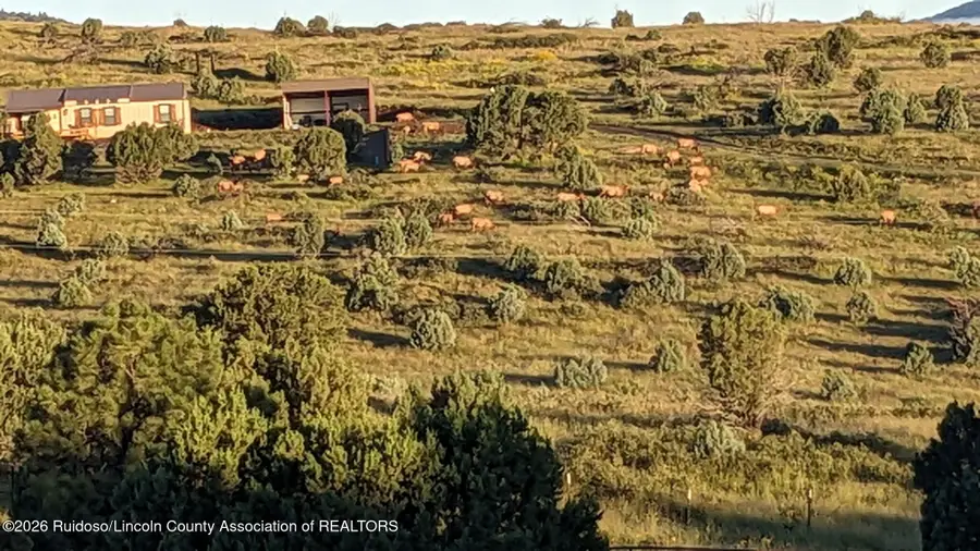 110 Gilbert Road, Capitan, NM 88316 - #2