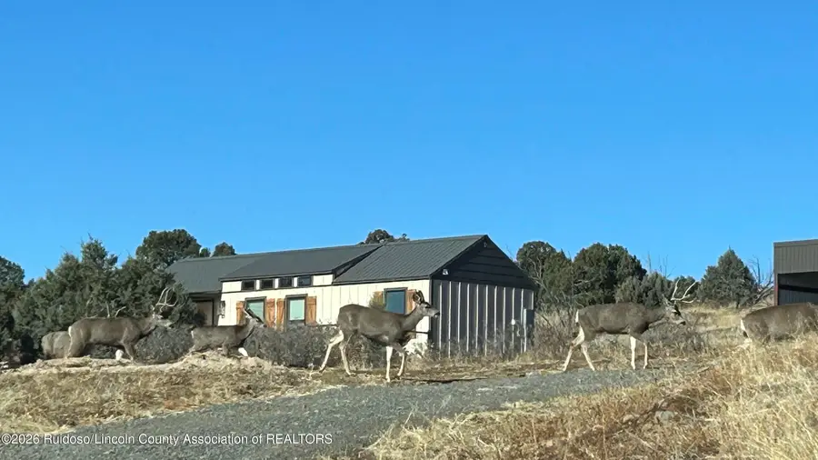 110 Gilbert Road, Capitan, NM 88316 - #3