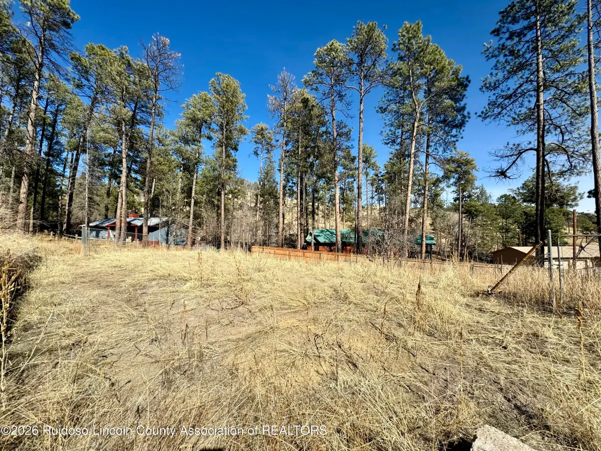 204 Sequoia Drive, Ruidoso, NM 88345 - #1