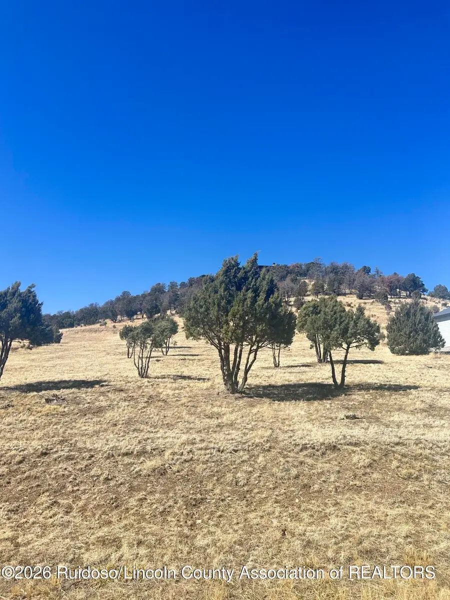 000 Antler Drive, Alto, NM 88312 - #3