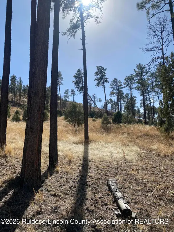 81 Stable Road, Alto, NM 88312