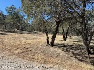 137 Wood Lane, Ruidoso Downs, NM 88346 - #3