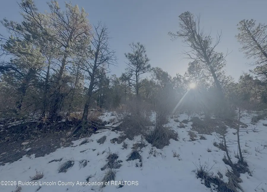 L40 Marijo Ln, Ruidoso, NM 88345 - #2