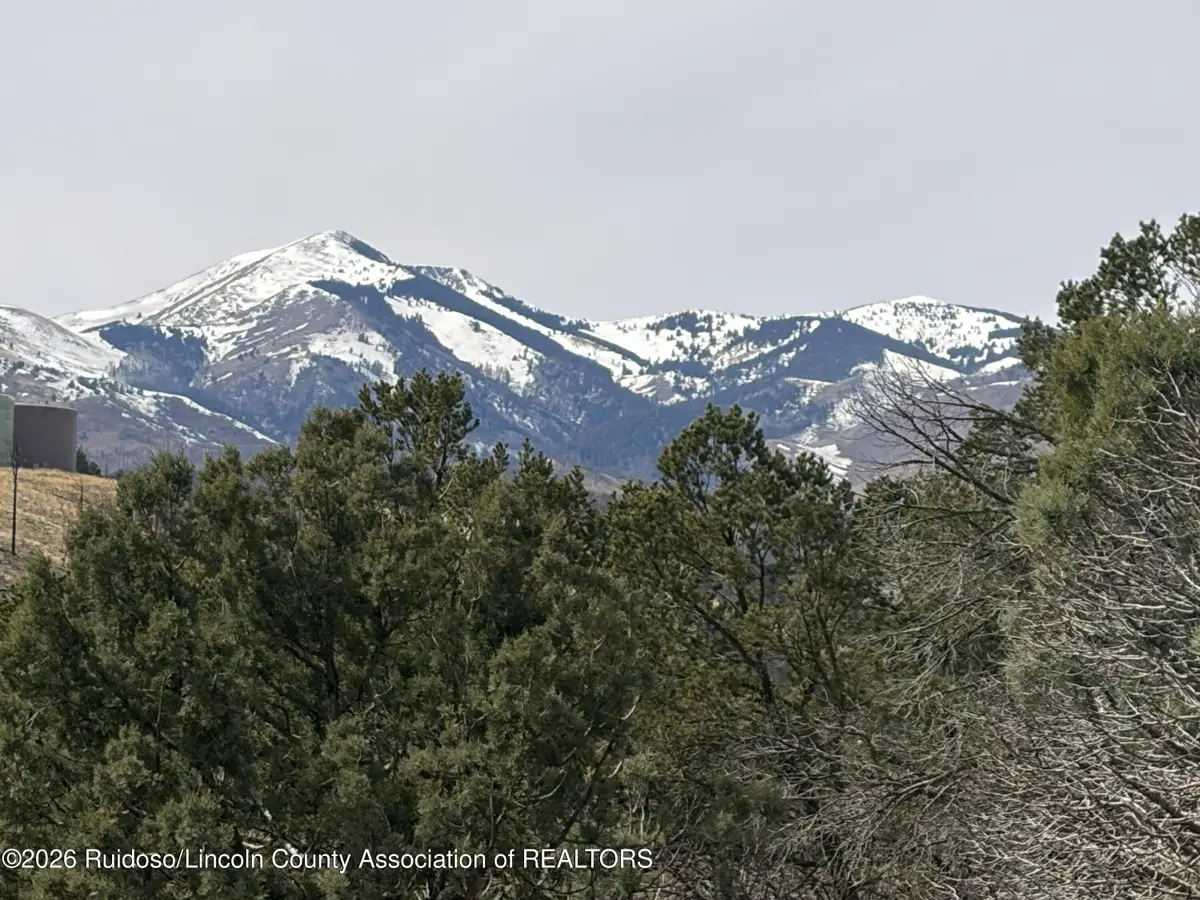 Lot 12 Encino Road, Alto, NM 88312 - #1