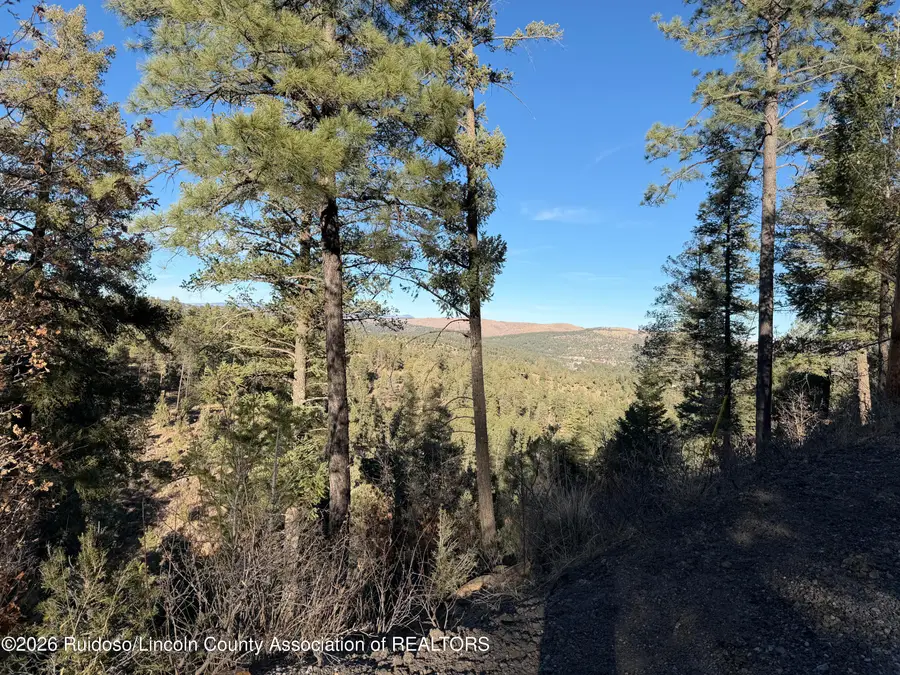 Lot 31 King Richard Drive, Ruidoso, NM 88345 - #2