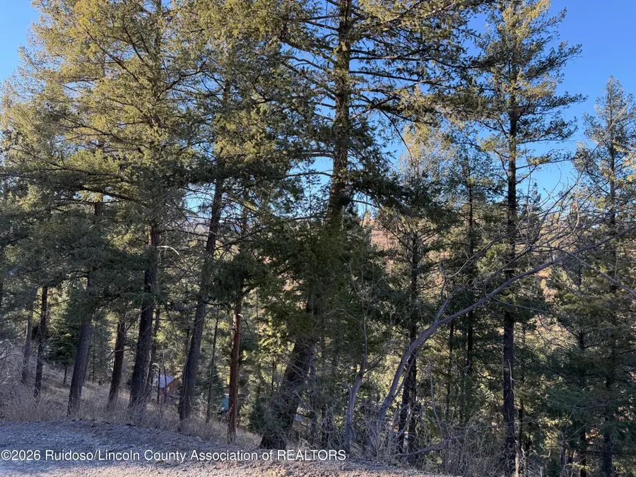 Lot 31 King Richard Drive, Ruidoso, NM 88345 - #3