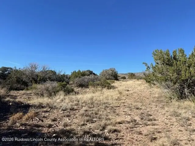 4 Four Wheel Drive, La Luz, NM 88337 - #1