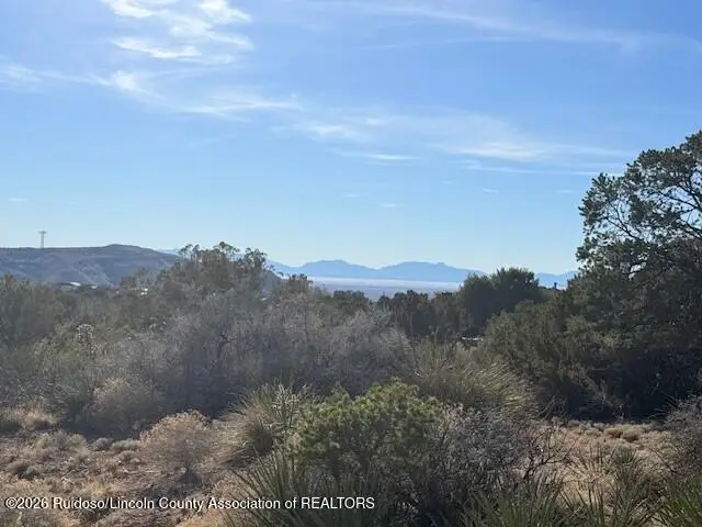 4 Four Wheel Drive, La Luz, NM 88337 - #2