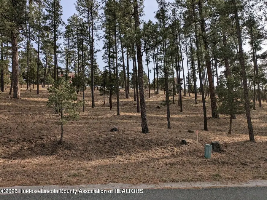 322 White Mountain Meadows Drive, Ruidoso, NM 88345 - #3