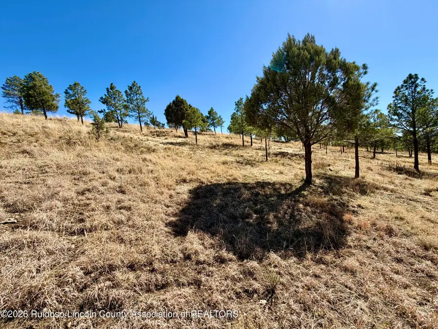 114 Charles Mcclellan Drive, Ruidoso, NM 88345 - #3