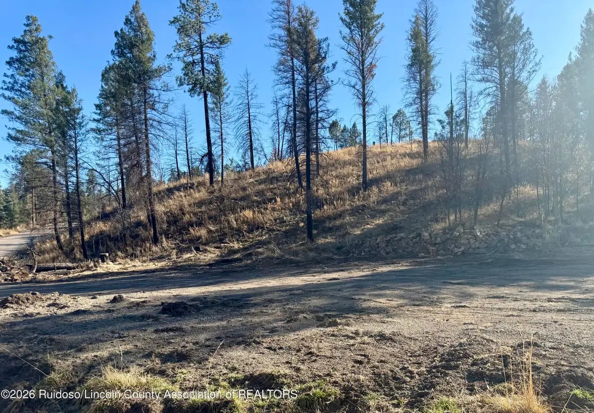 103 Alpine Village Road, Ruidoso, NM 88345 - #1